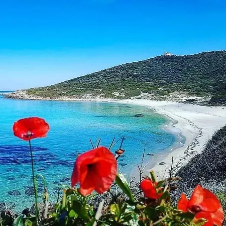 La Balagne Ca Nous Gagne Algajola (Corsica)