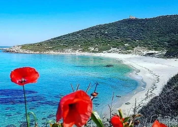La Balagne Ca Nous Gagne Algajola (Corsica)